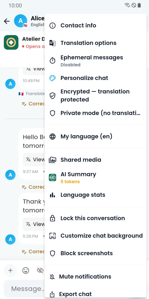 Conversation menu: contact info, translation options, disappearing messages, customisation