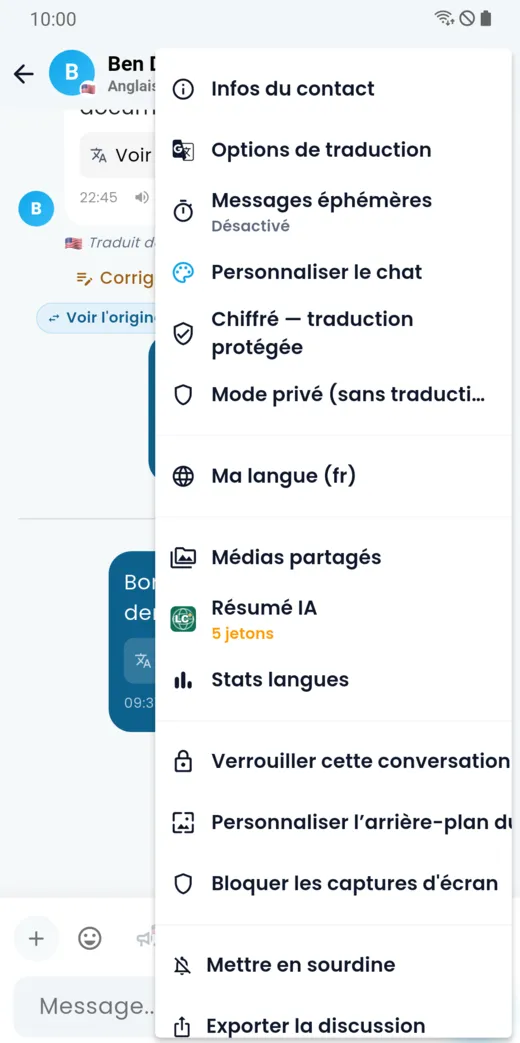 Menu d’une conversation : infos, options de traduction, messages éphémères, personnalisation